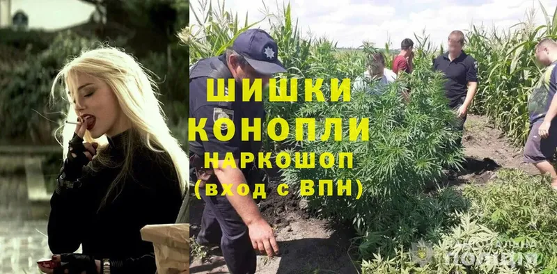 Шишки марихуана Ganja  Нижняя Салда 